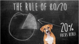 The 80-20 Principles of Dog Training